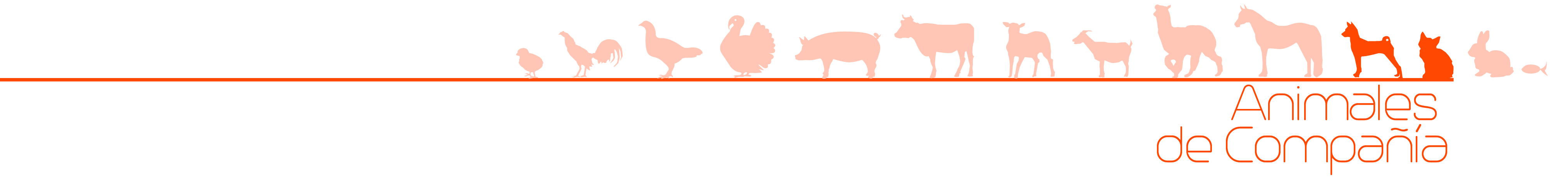 Animales de Compañía