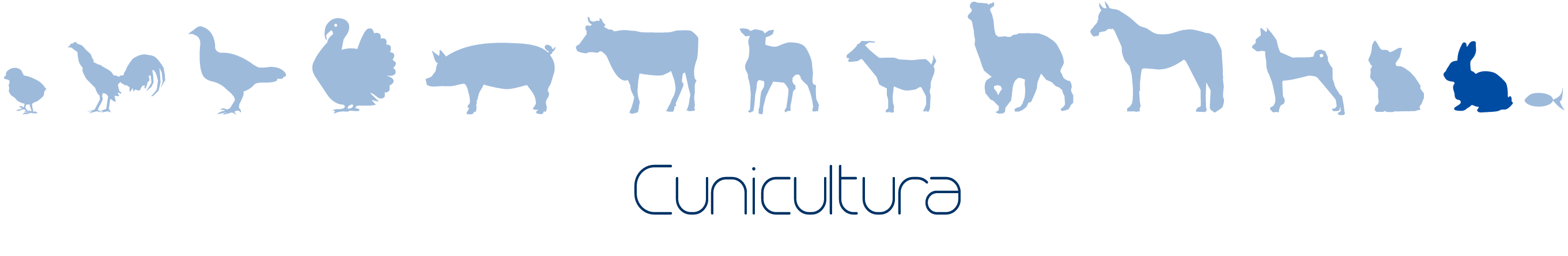 Cunicultura