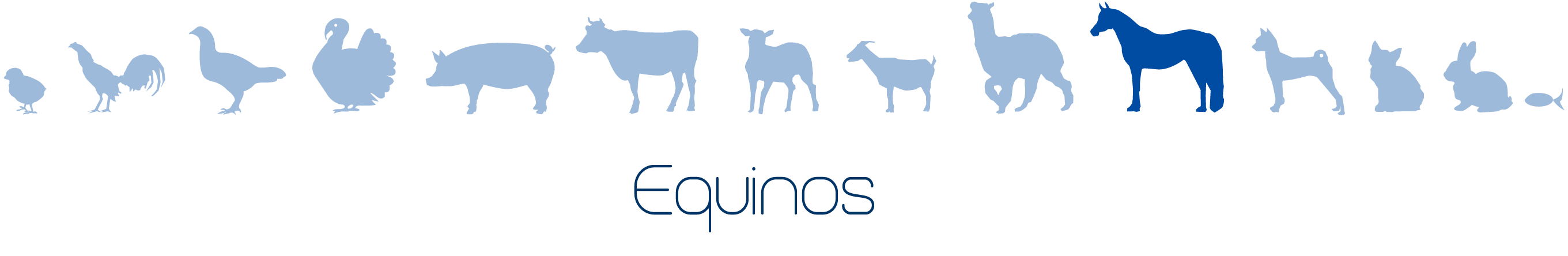 Equinos