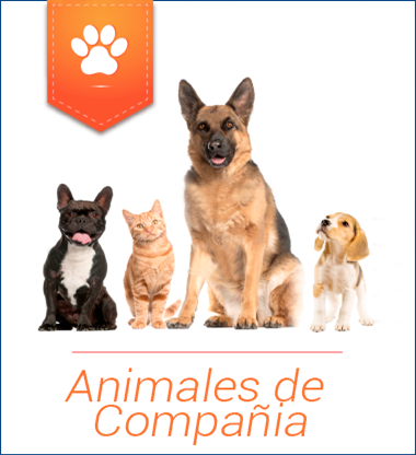 Animales de Compañia