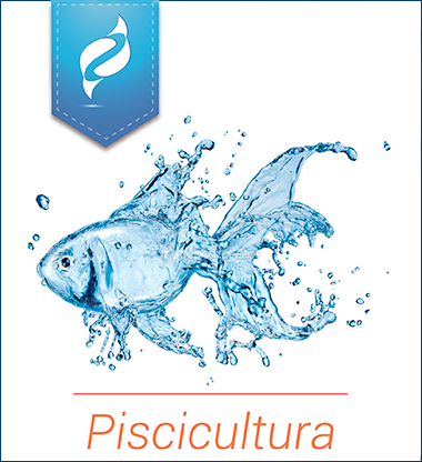 Piscicultura